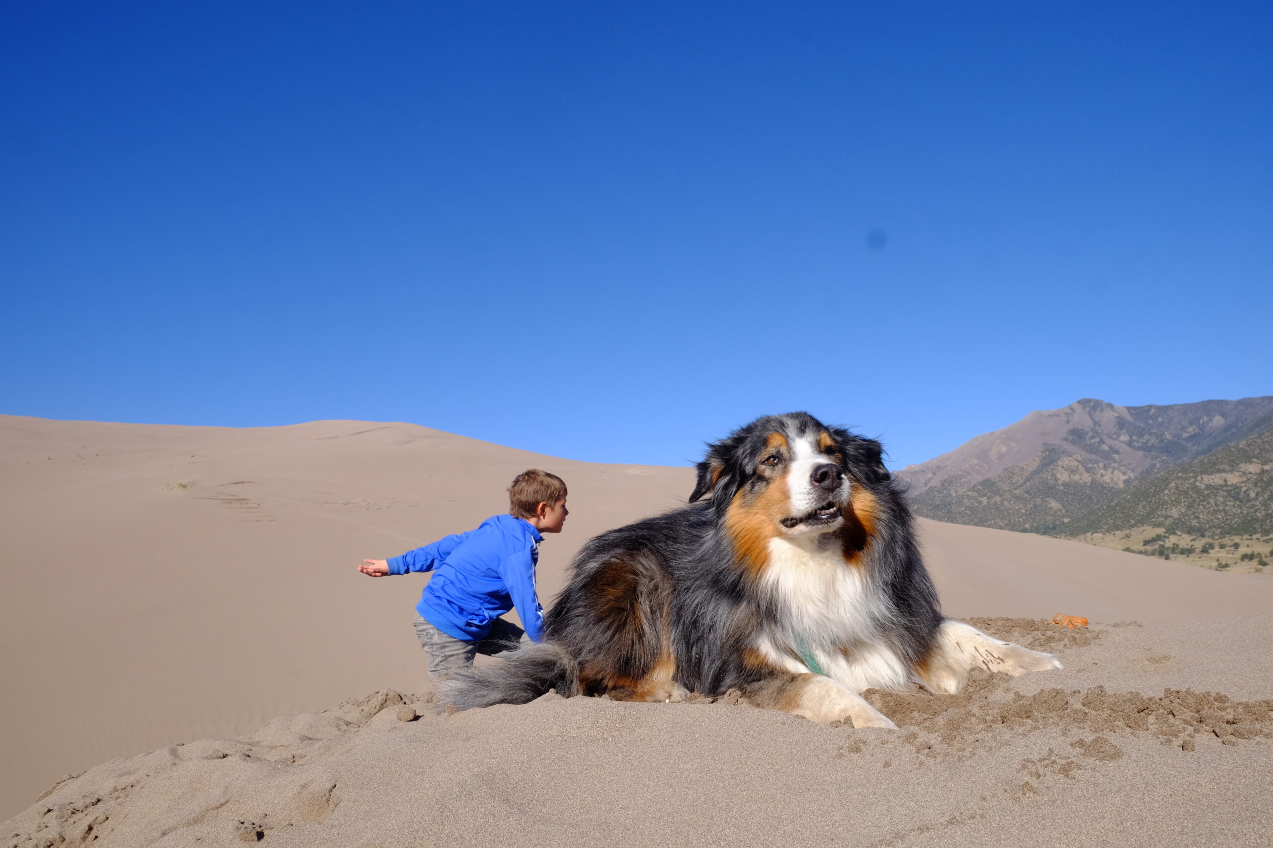 great sand dunes