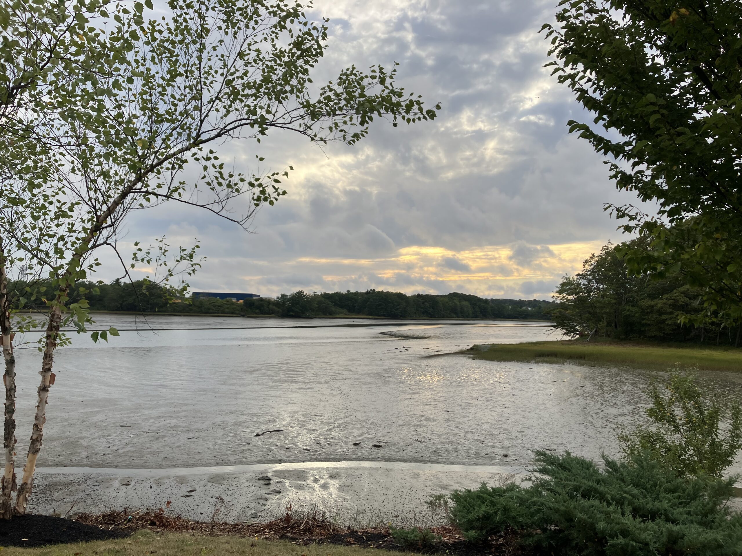 swiss familiy robinson