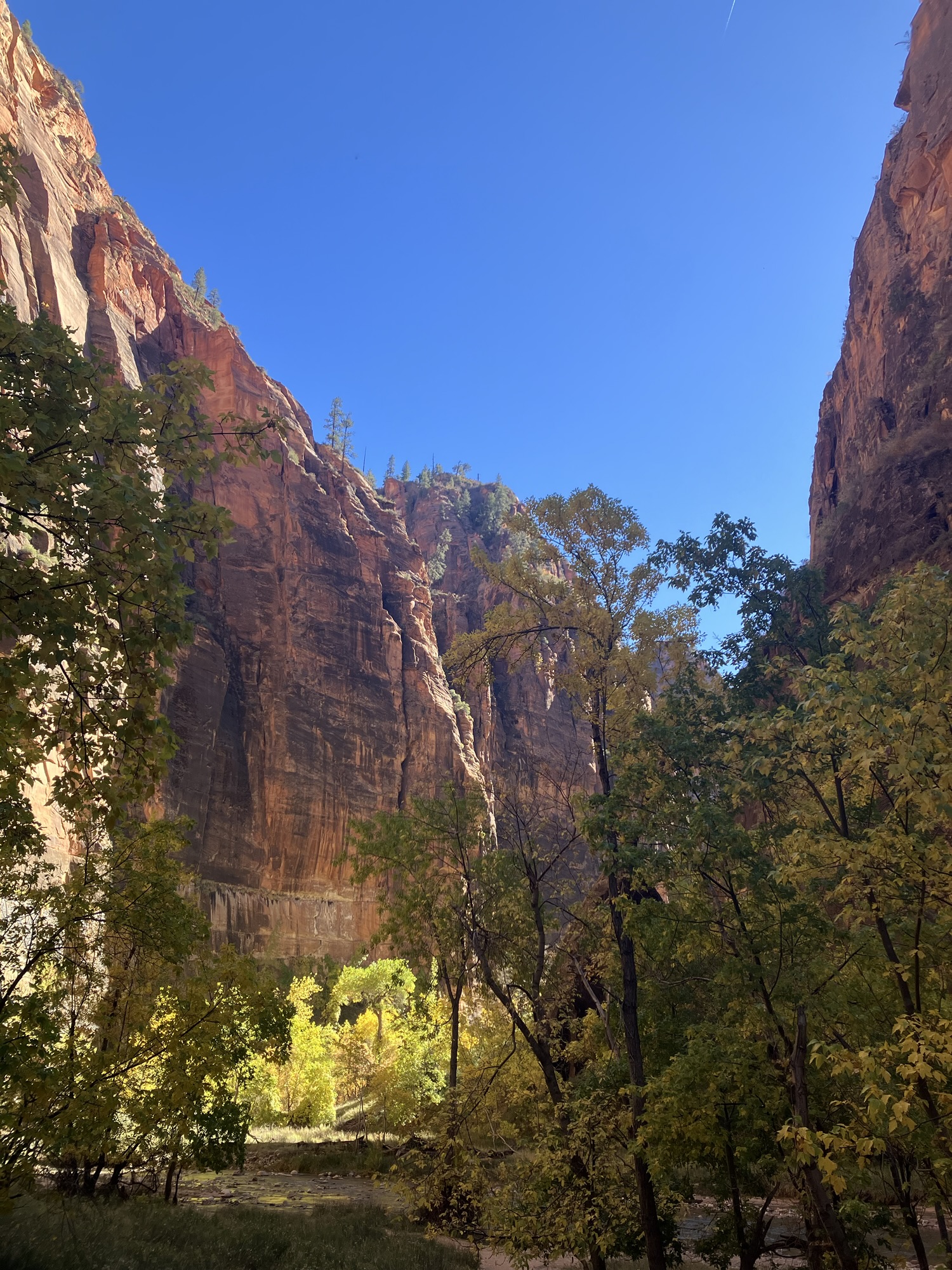 zion