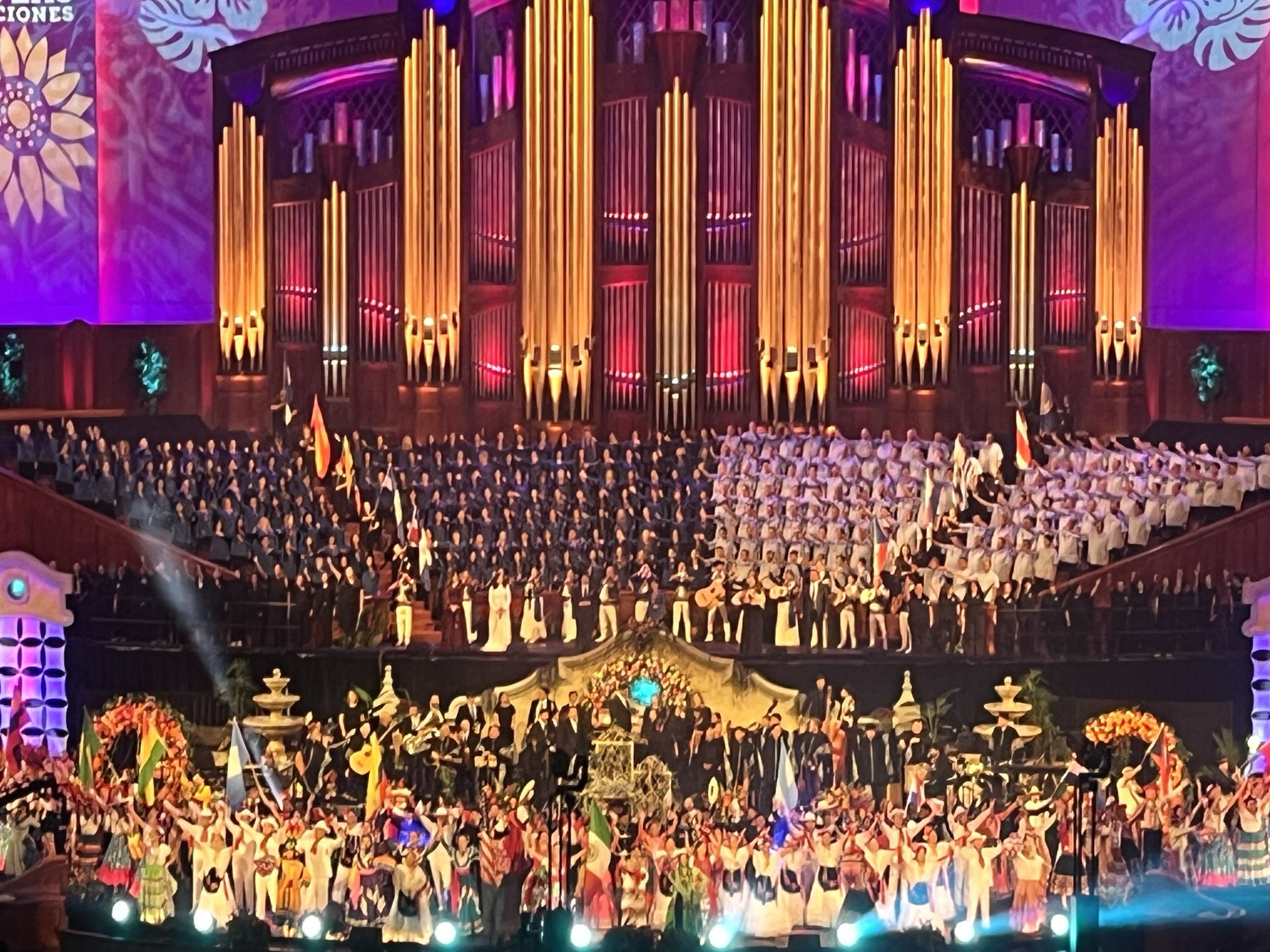 beehives hive and jive