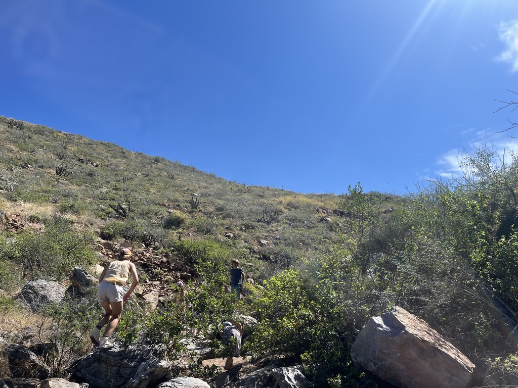hike till you fly