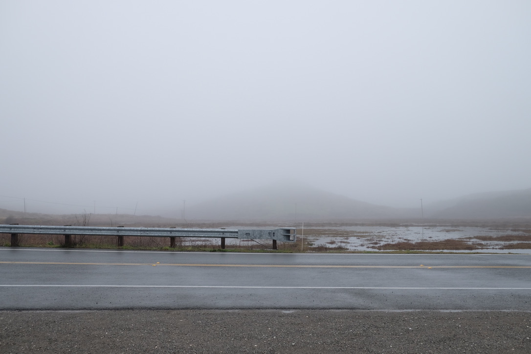 point reyes national seashore