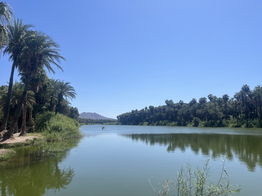oasis